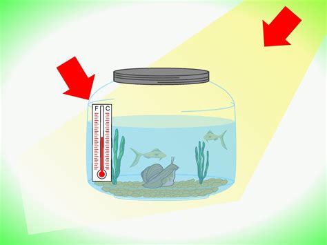 fish ecosystem|7 Ways to Make a Closed Aquatic Ecosystem .
